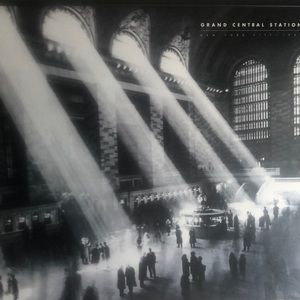 Meet your Posher, Tracey